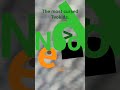 a most cursed tvokids then d yells But e tries to d stop yellung