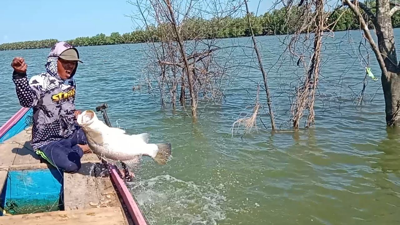 JADI SARANG KAKAP BESAR, POHON LONGSOR KE TENGAH SUNGAI