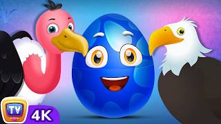 surprise eggs wildlife toys birdwatching wildlife birds