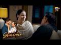 Silver Jubilee 25 Years Together | Feroze Khan - Sahar Hashmi - Mahmood Aslam | Shaidai
