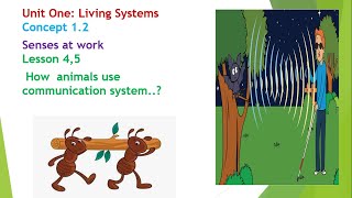 Science Primary 4 First Term Concept 1.2 Lesson 4,5  How Animals Use Communication System..? 2024