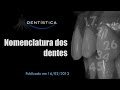 Nomenclatura dos dentes