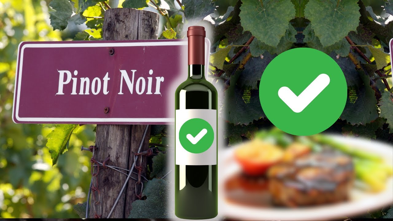 Pinot Noir Great Beginners Guide to Notes & Food Pairings
