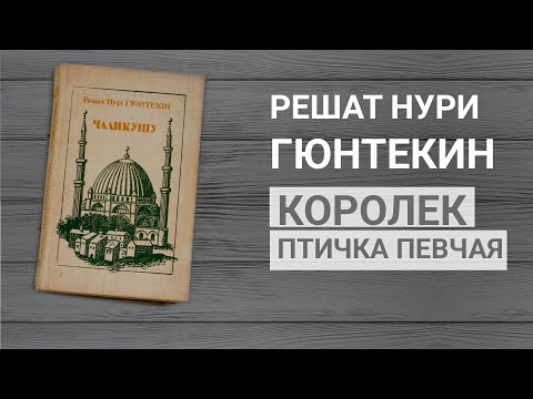 Моя любимая книга - Королек птичка певчая (Чаликушу) Рюшат Нури Гюнтекин