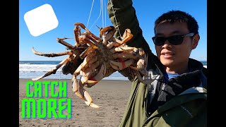 Tips to Catch MORE Dungeness Crabs on the BEACH! Plus I find something RARE!