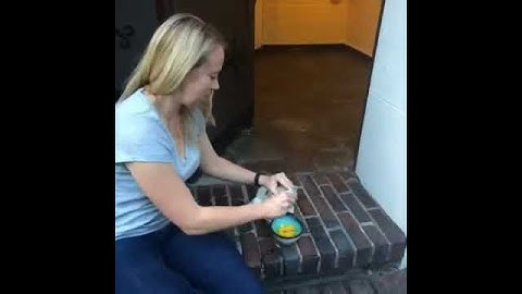 MOST ELEGANT SLUG SOLUTION Contest Winner! Egg Shell Slug Control - by Anne Heavey