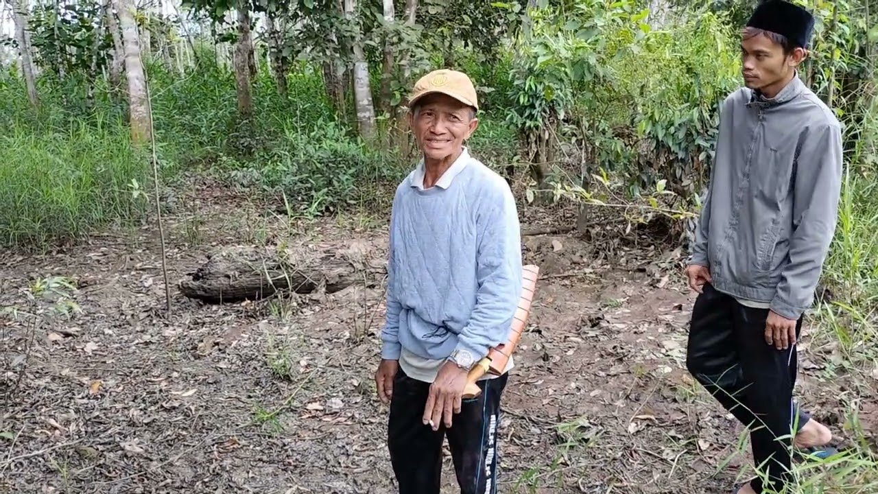 perkebunan karet di Kalimantan membuka lapangan pekerjaan bagi temen2 seluruh Indonesia