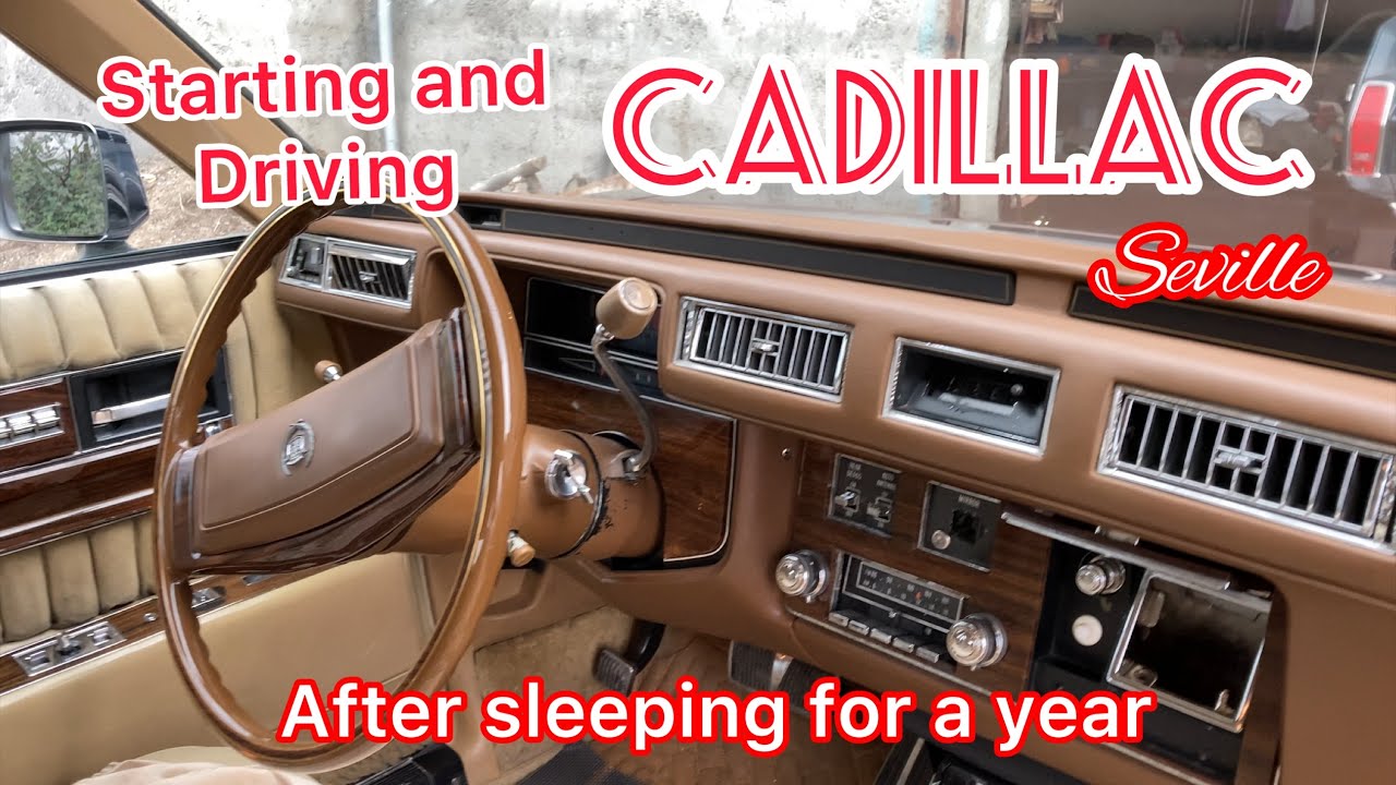 The Great Surprise, a Cadillac in Persia !