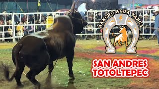 ¡SON TOROS DE UN TAMAÑO IMPRESIONANTE! RANCHO AGUA ZARCA DE HECTOR VICARIO EN SAN ANDRES TOTOLTEPEC