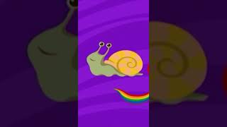 Babyfirst rainbow horse EP146 snail