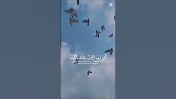 #القرآن_الكريم #احمد_النفيس #اكسبلور #سورة_مريم #صلوا_على_النبي #راحة_نفسية #المغرب_العربي 🩵🤍