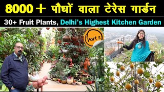 छत पर लगाए 8000+ प्लांट्स  30+ Fruit plants, Highest Kitchen Garden Unique Farming