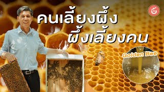 คนเลี้ยงผึ้ง​ ผึ้งเลี้ยงคน​ เบื้องหลังการผลิตน้ำผึ้งด​อกลำไย แสนหอมหวาน​ ที่เชียงใหม่ | Food Story
