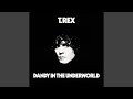 T. Rex - Dandy in the Underworld