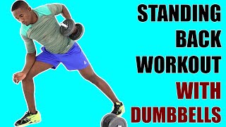 20 Minute Standing Back Workout with Dumbbells/ Upper Body Strength Workout