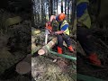 Some fantastic practice tension/compression relief cuts on sideways fallen timber. Good effort….