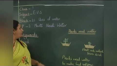 Date: 10-03-2021 Class: 1 Subject EVS Block: 21 S3 Plants need water.