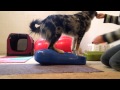 Beginning Core Work - Where Do I Start? Beginning Core Work - Where Do I Start?