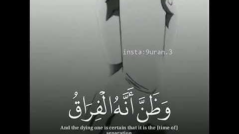 القارئ محمد عطيه