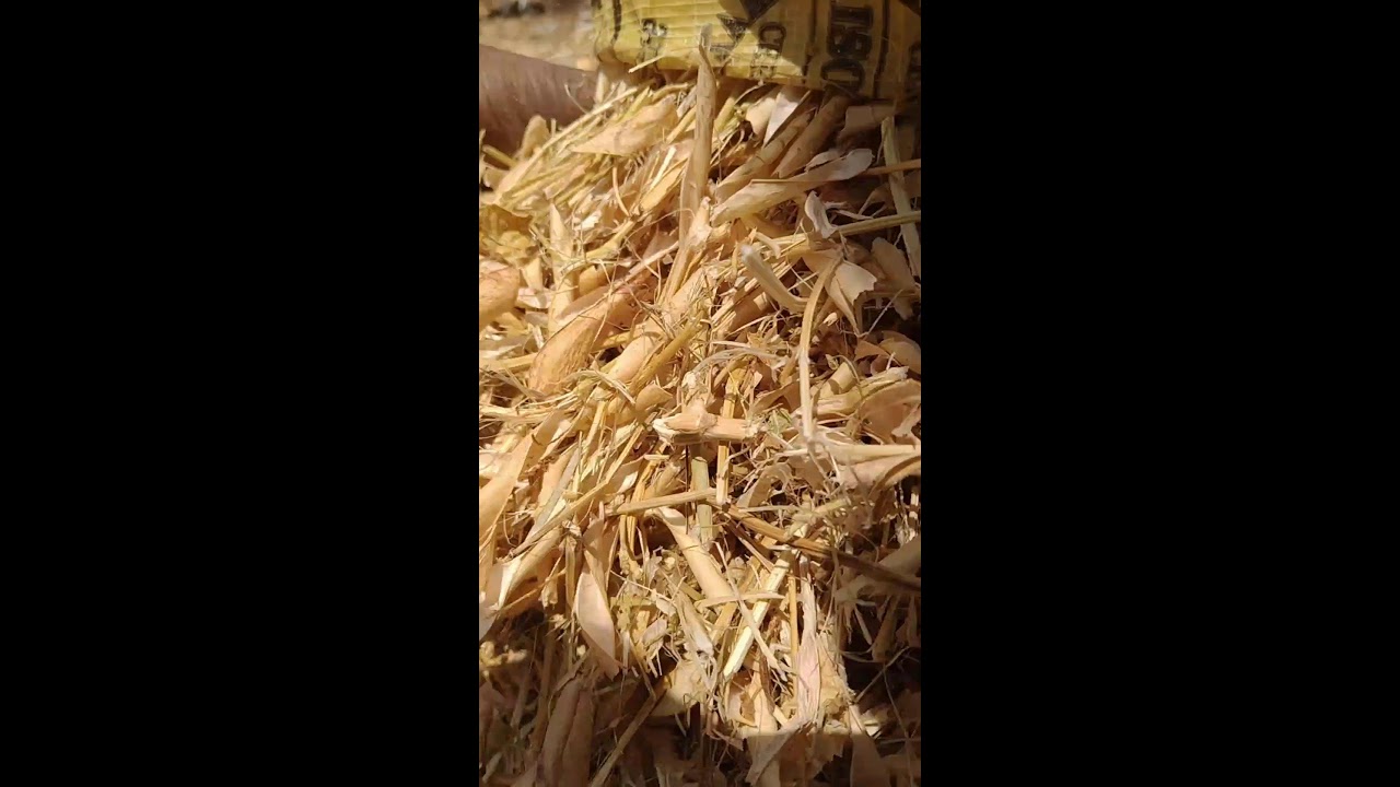 शेतकरी आयुष  is live!