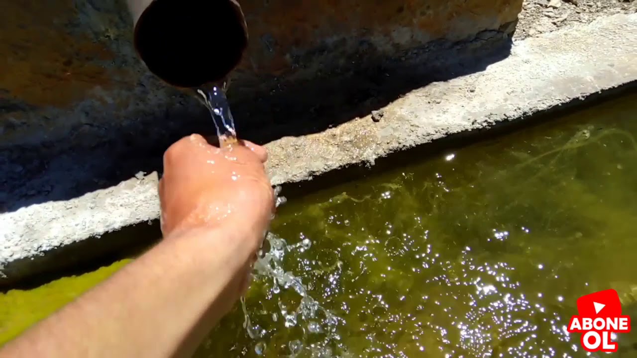 Yaylaya gittim koyunlar kuzular inekler buzagılar otluyor (kar getirdim)