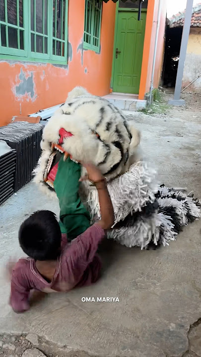 Manan kakinya di gigit can macanan ipin nya gamau bantuin