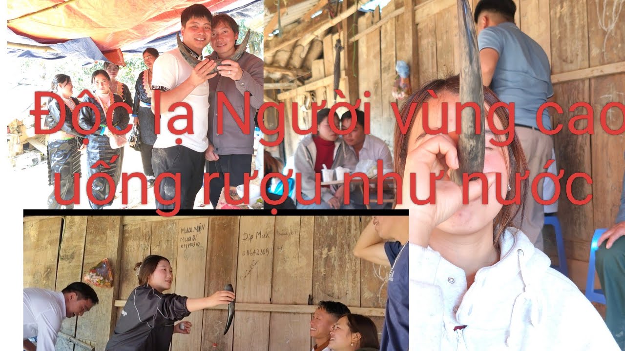 Độc lạ Người vùng cao uống bằng sừng trâu ngon như nước.Cảm ơn mọi người đã theo dõi @@##