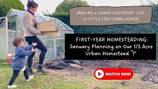 1/3 ACRE URBAN HOMESTEAD: What we’re doing in January! 🌱 #UrbanHomestead by The Whole Home 765 views 3 months ago 12 minutes, 34 seconds