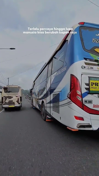 Story wa versi bus ngeblong