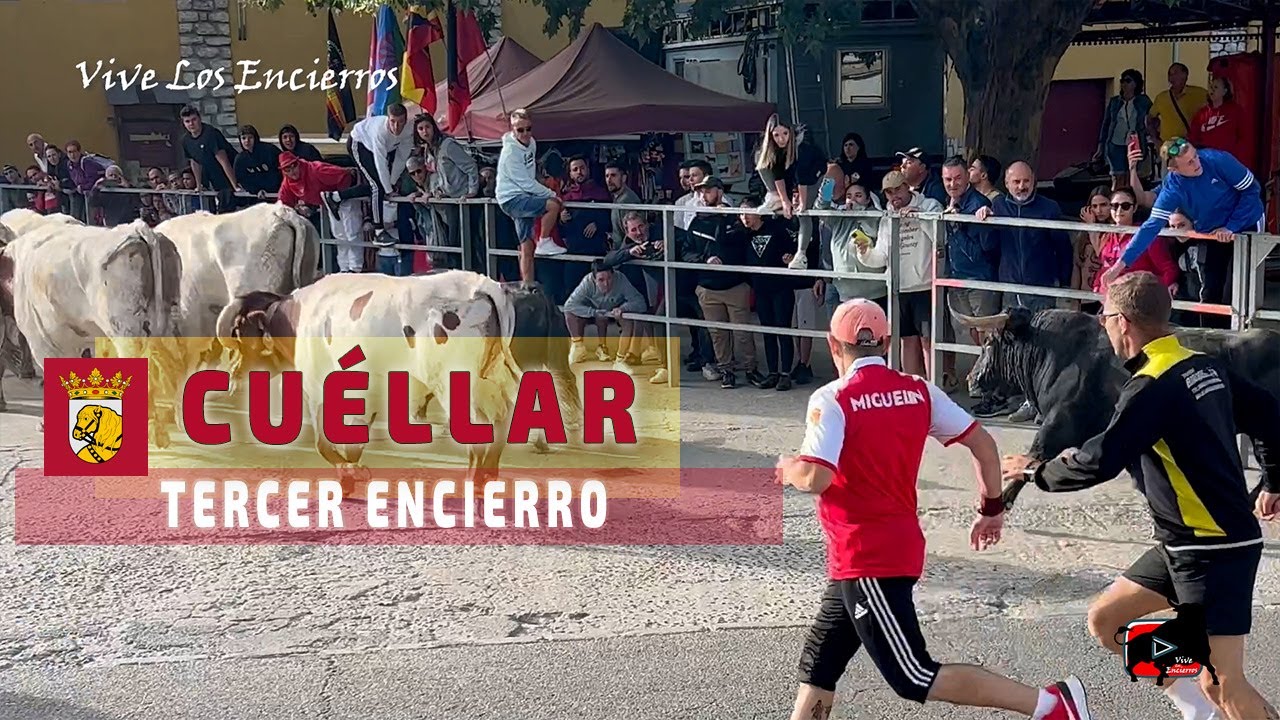 Paso de máquinas y fea cogida en el tercer encierro de #cuéllar