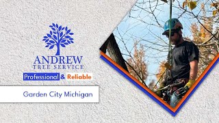 Andrew Tree Service