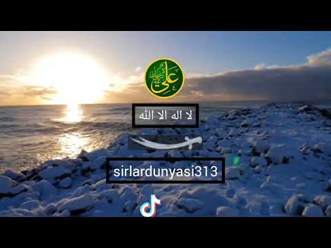 ALLAH ALIDEN RAZIDIR🍃 Whatsapp Durum Video (tiktok) Anlamlı Dini Sözler - Kısa videolar