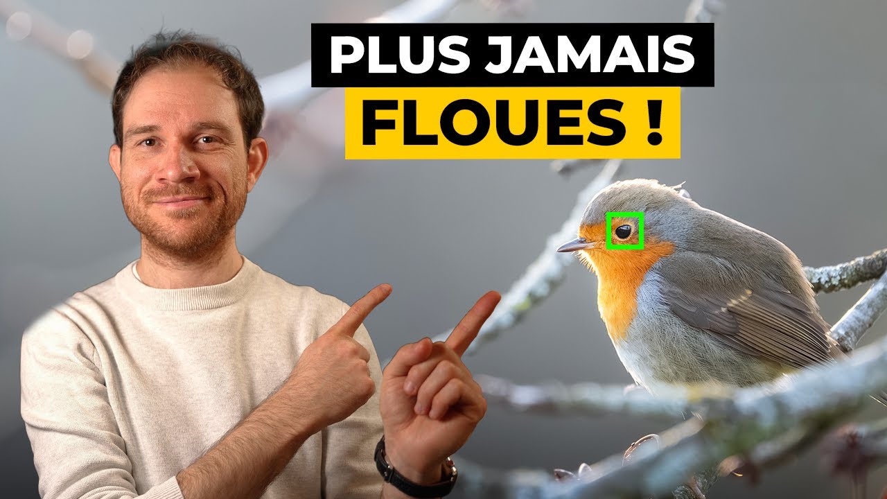 Des problèmes avec votre autofocus ? Changez ÇA !