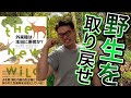新しい野生を作り出せ！【外来種は本当に悪者か？②】