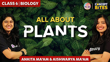 Plant: Structure and Function | Root and Stem | Getting to know plants Class 6 Chapter 7