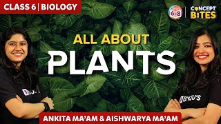 Plant: Structure and Function | Root and Stem | Getting to know plants Class 6 Chapter 7
