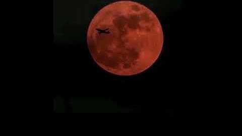 تلاوة خاشعة من سورة الفتح