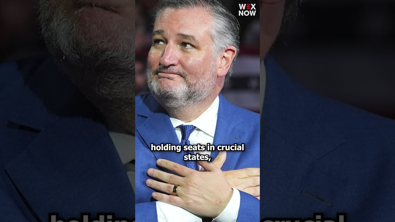 Ted Cruz says conversation about potential 2028 presidential bid to start after midterm elections