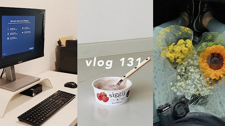 VLOG 131 |  |  |  | VLOG