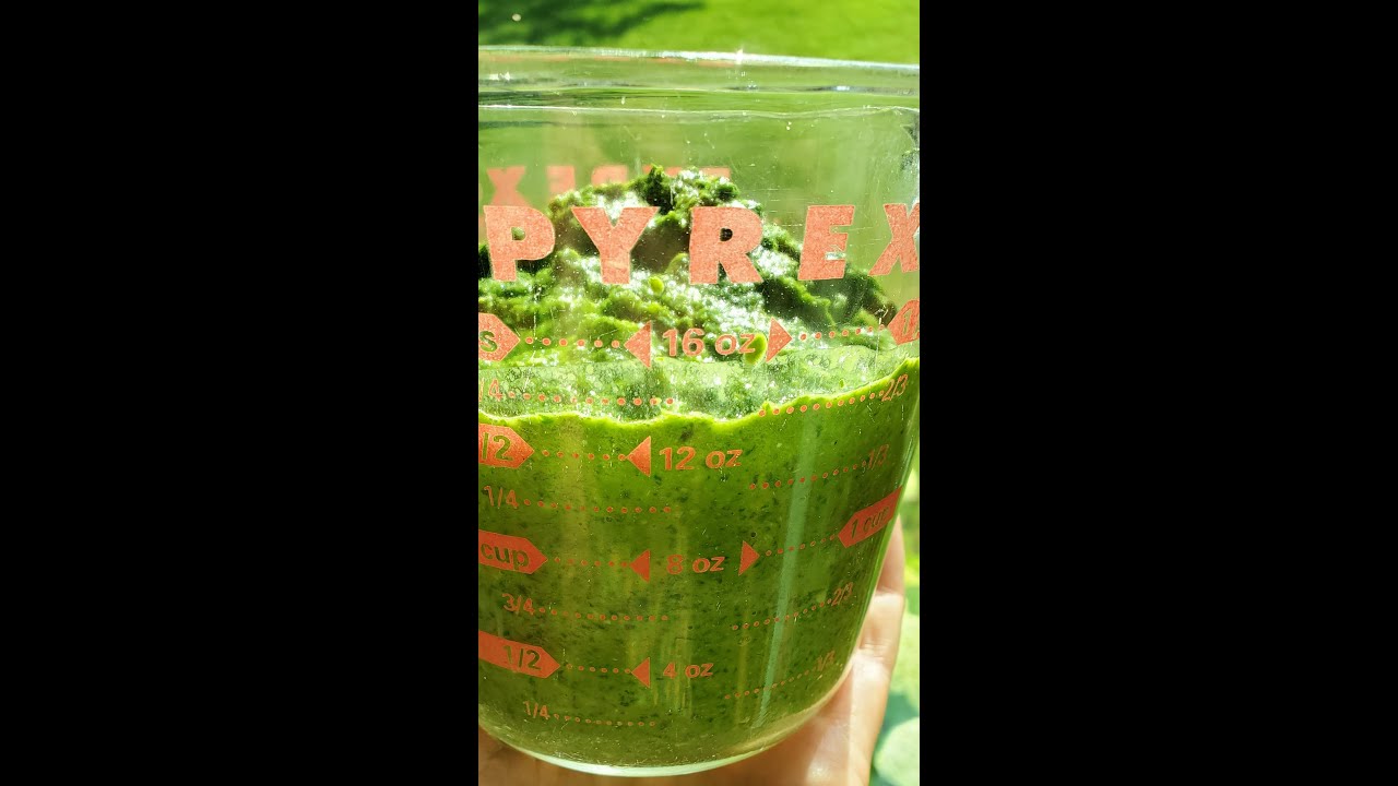 Nut-Free Pesto Recipe (AIP) 