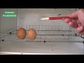 Cómo hacer un volteo automático casero