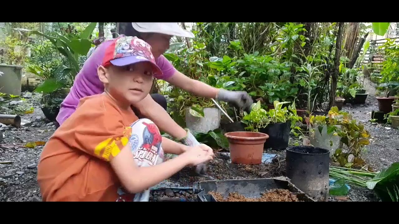 Repotting our Peace Lily