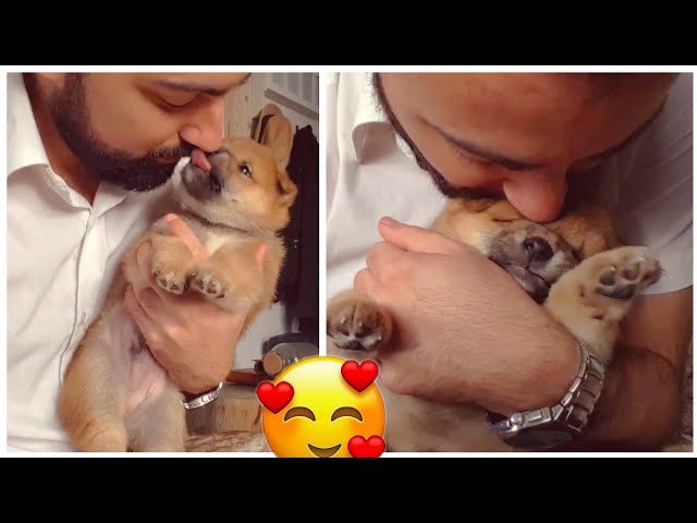 Hugging my puppy too long ❤️ / Shiba Inu puppies