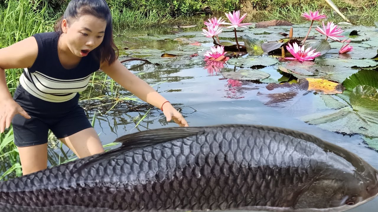 Daily life-Use a pump to drain the pond to catch large fish and sell ...