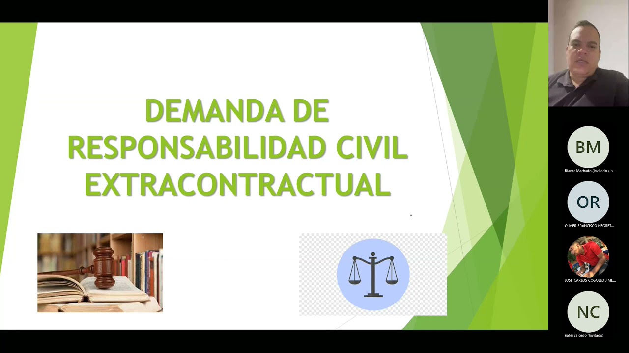 Expovideo, DEMANDA DE RESPONSABILIDAD CIVIL EXTRACONTRACTUAL - YouTube