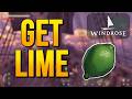 WINDROSE Tutorial | How to Get Limes (Full Guide)