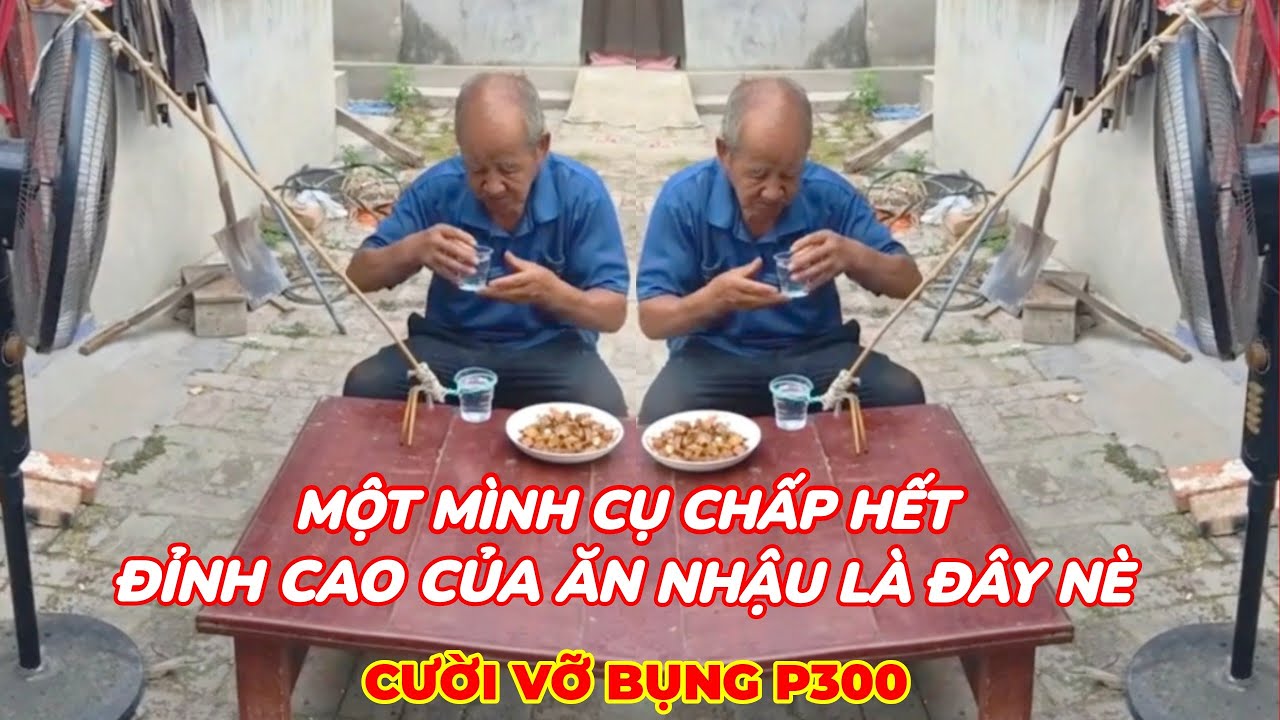 ✅Cười Vỡ Bụng ( P300)✔ | Những Thằng Ngu Nhất Hành Tinh Cười Vỡ Bụng ✔