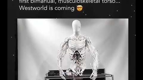 Synthetic Human Robots: The Future of AI + Robotics #ai  #genai #2025