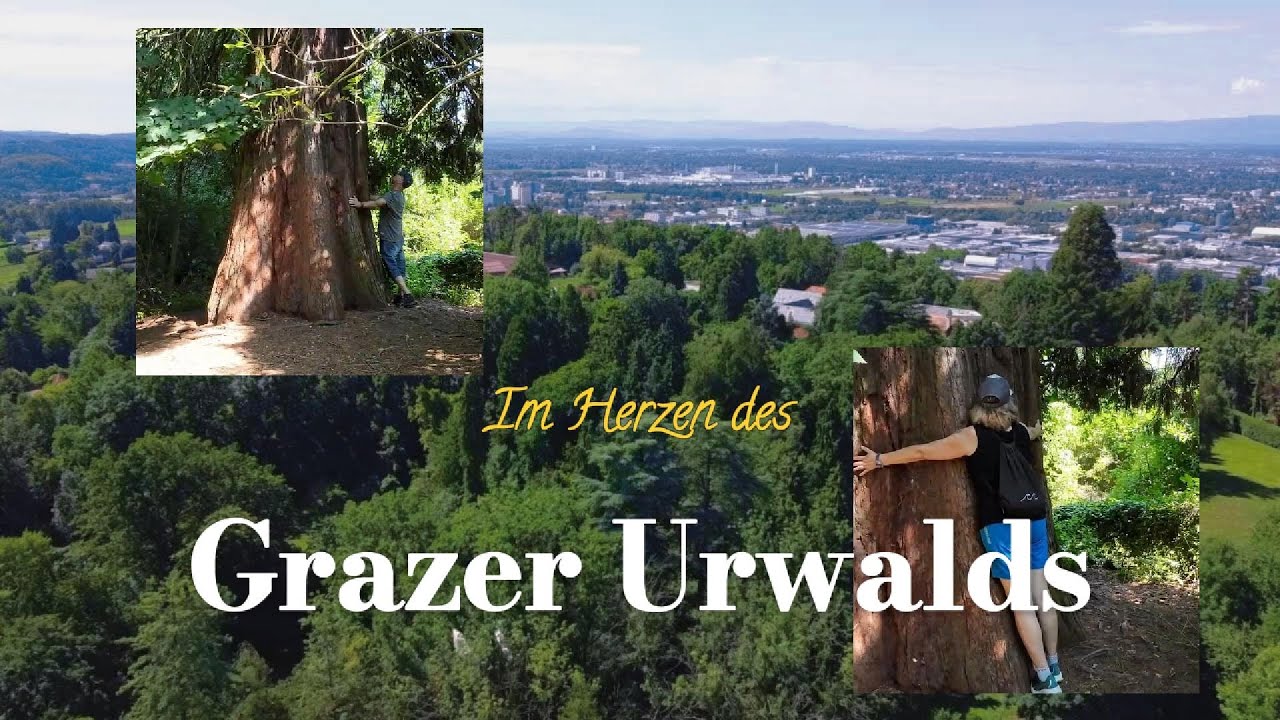 Im Herzen des Grazer Urwalds | Naturwunder vor der Haustür 💚🌲