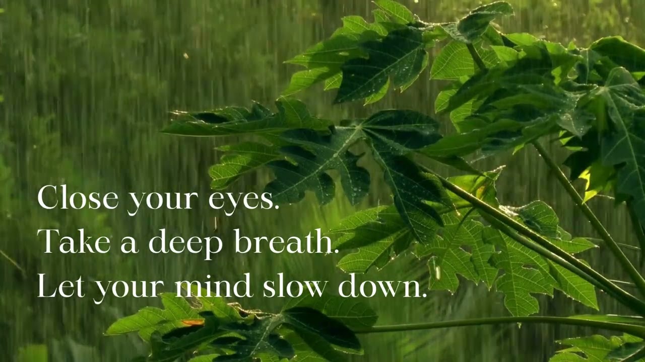 Healing Ambient Piano & Violin Music for Focus, Sleep & Inner Peace with Rain and Birds (50 Minutes)